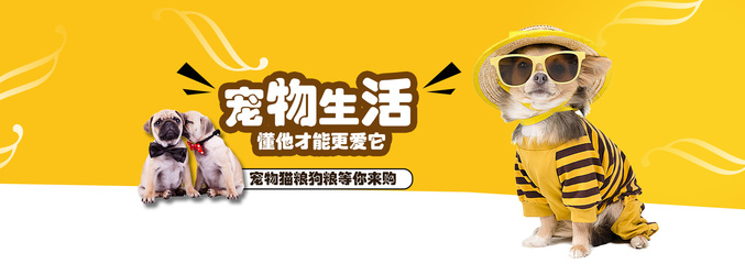 ww777766香港历史记录查询